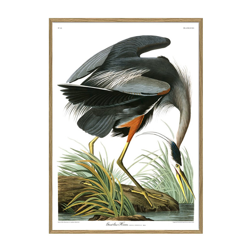 The Dybdahl Co. Great Blue Heron Plakat