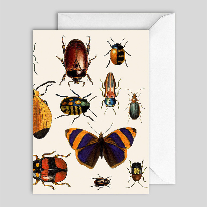 The Dybdahl Co. Insects Greeting Card Nyheder Til Boligindretning
