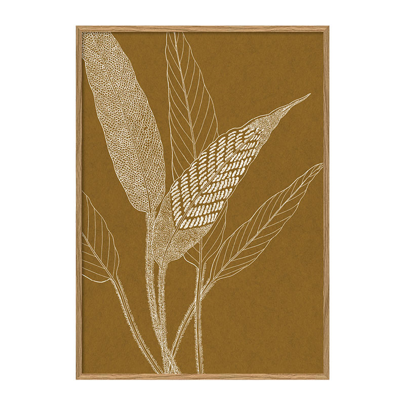 The Dybdahl Co. Ferns #7246 Plakat