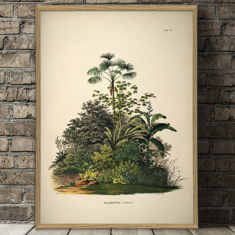 The Dybdahl Co. Mauritia Aculeata Plakat