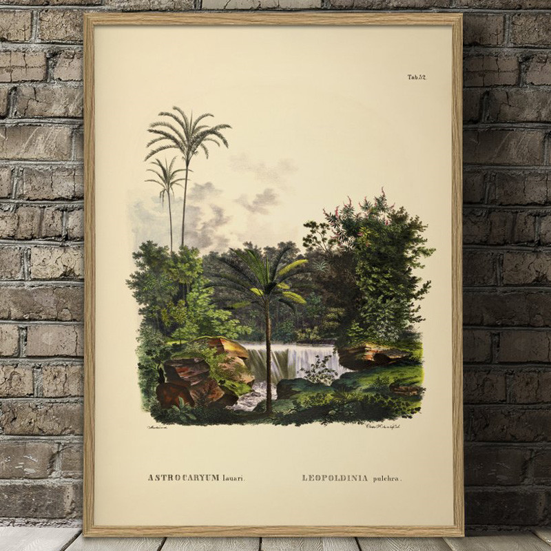 The Dybdahl Co. Astrocaryum Lauari Leopoldinia Plakat Gaveideer Til Enhver Anledning