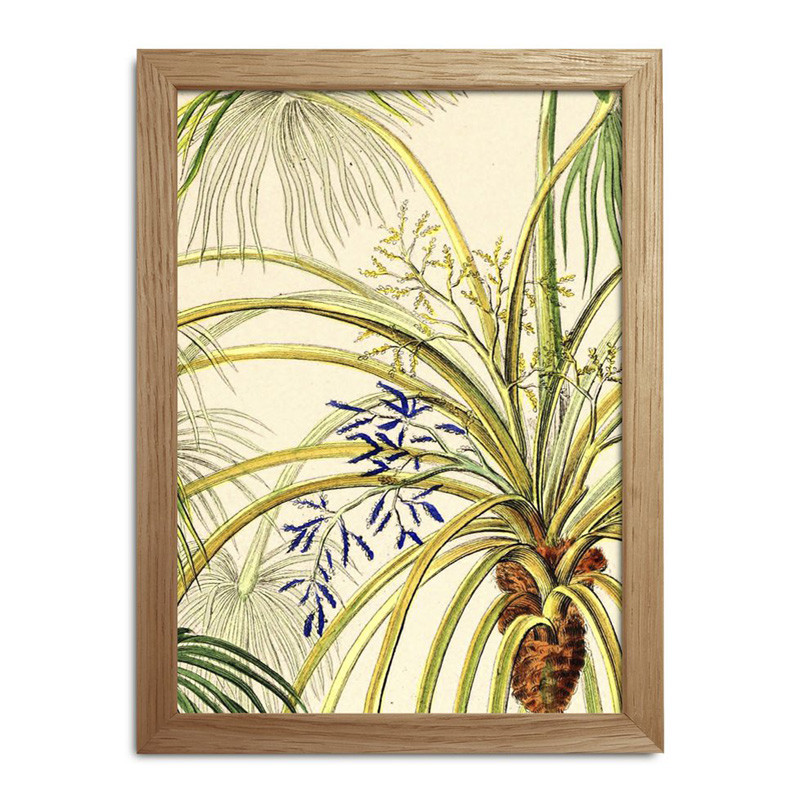The Dybdahl Co. Plants Mini Print #Rc013