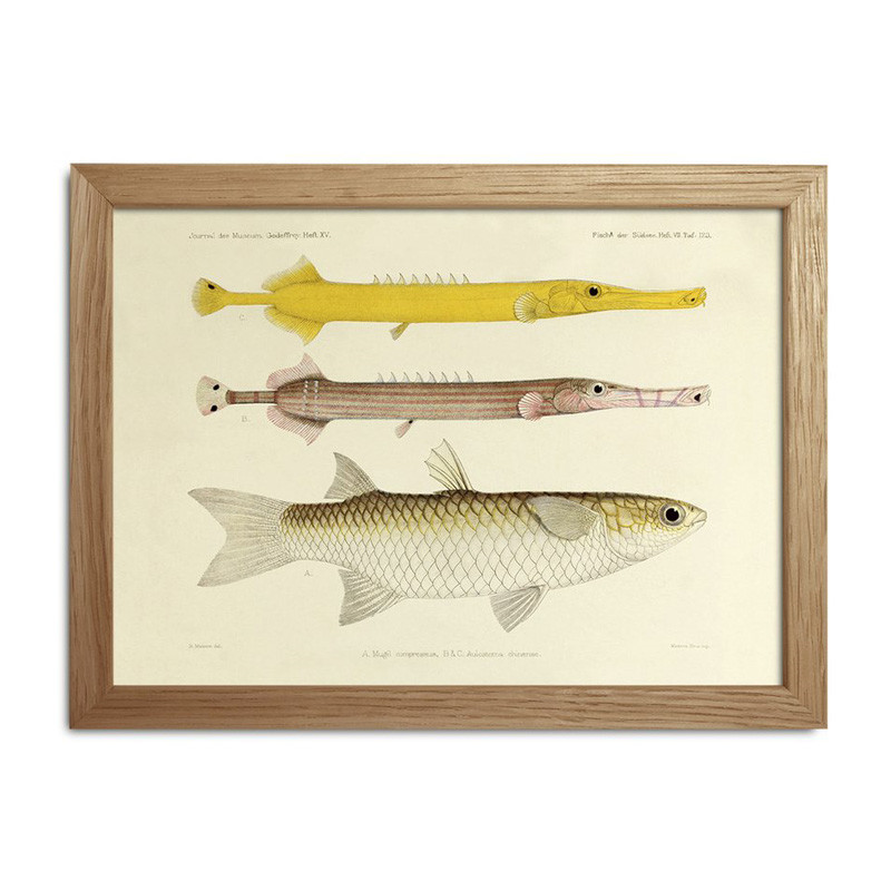 The Dybdahl Co. Fishes Mini Print #Rc022 Stort Januarudsalg Med Op Til 70% Rabat