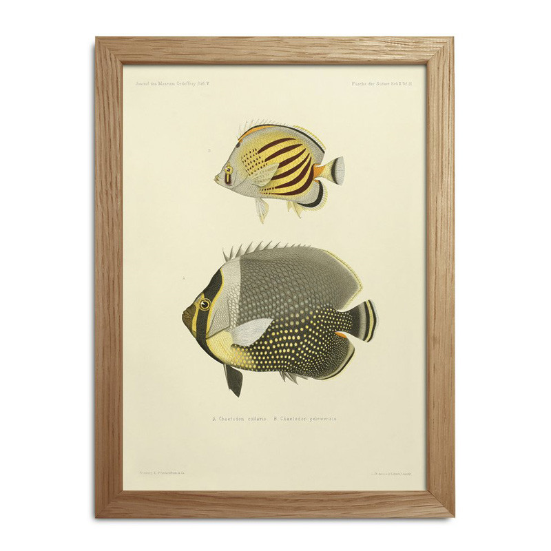 The Dybdahl Co. Fishes Mini Print #Rc030 Gaveideer Til Enhver Anledning