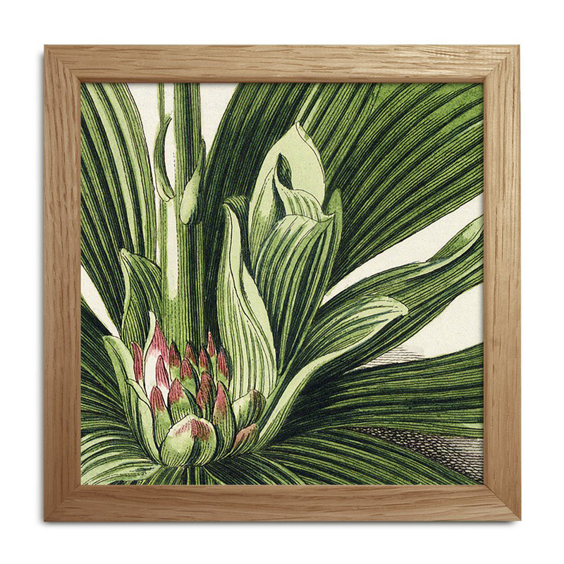 The Dybdahl Co. Plants Mini Print #Sq033