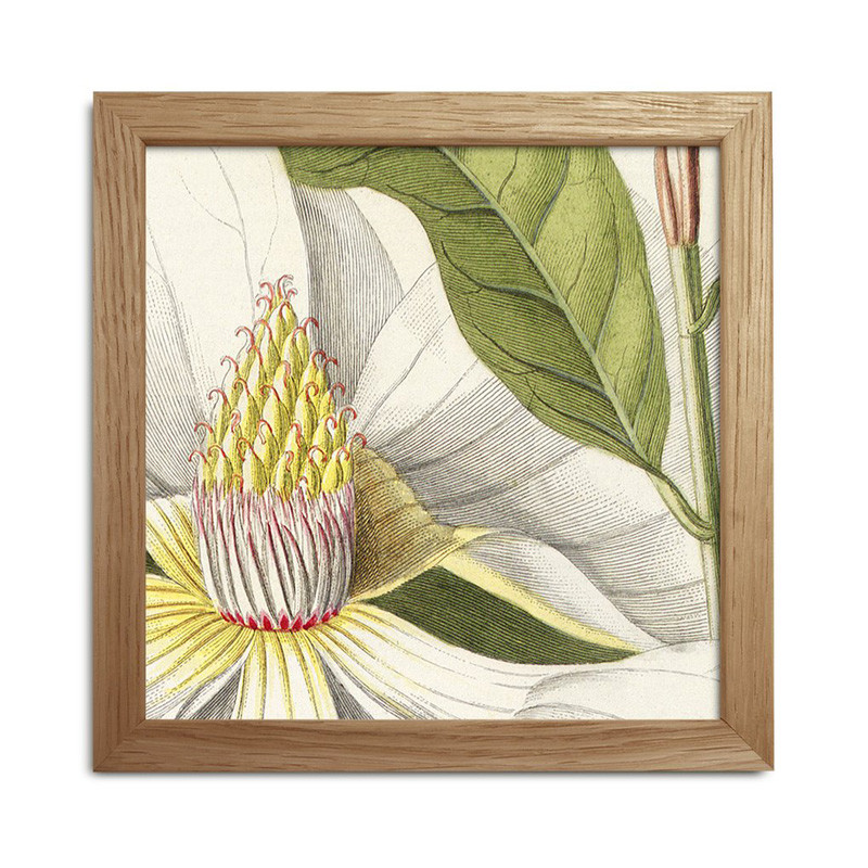 The Dybdahl Co. Plants Mini Print #Sq034