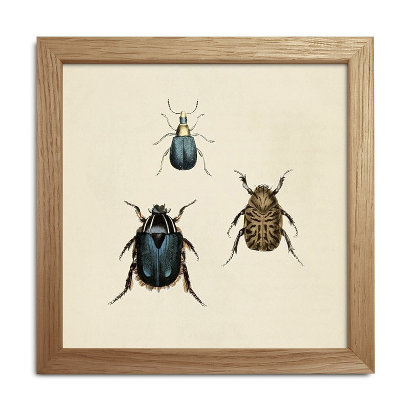 The Dybdahl Co. Insects Mini Print #Sq066 Gaveideer Til Enhver Anledning