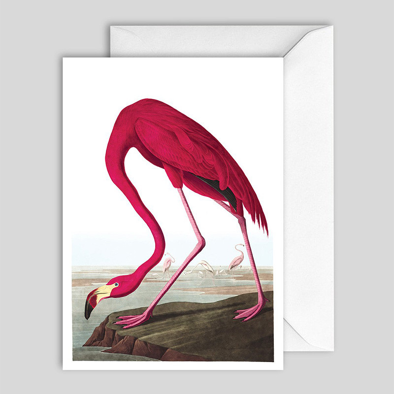 The Dybdahl Co. The Dybdahl & Co. Flamingo Greeting Card Nyheder Til Boligindretning