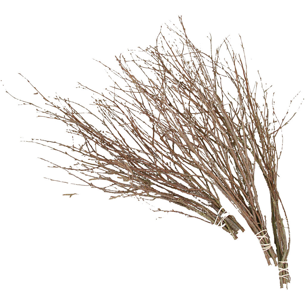 Fastelavnsris, L: 50-60 cm, 20stk.