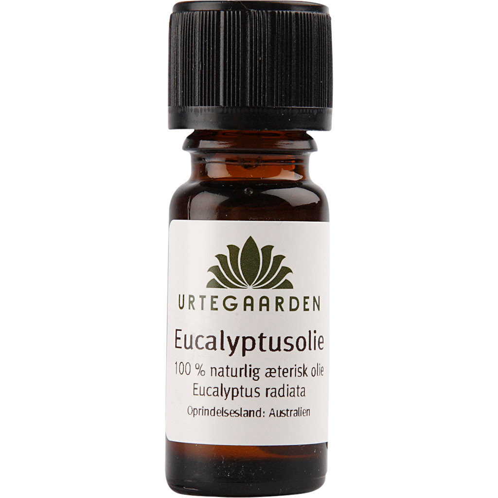 Eucalyptusolie - 10 ml