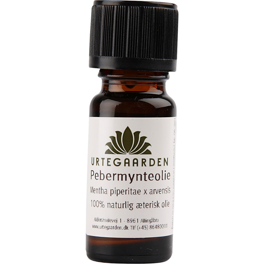 Pebermynteolie, 10 ml billede