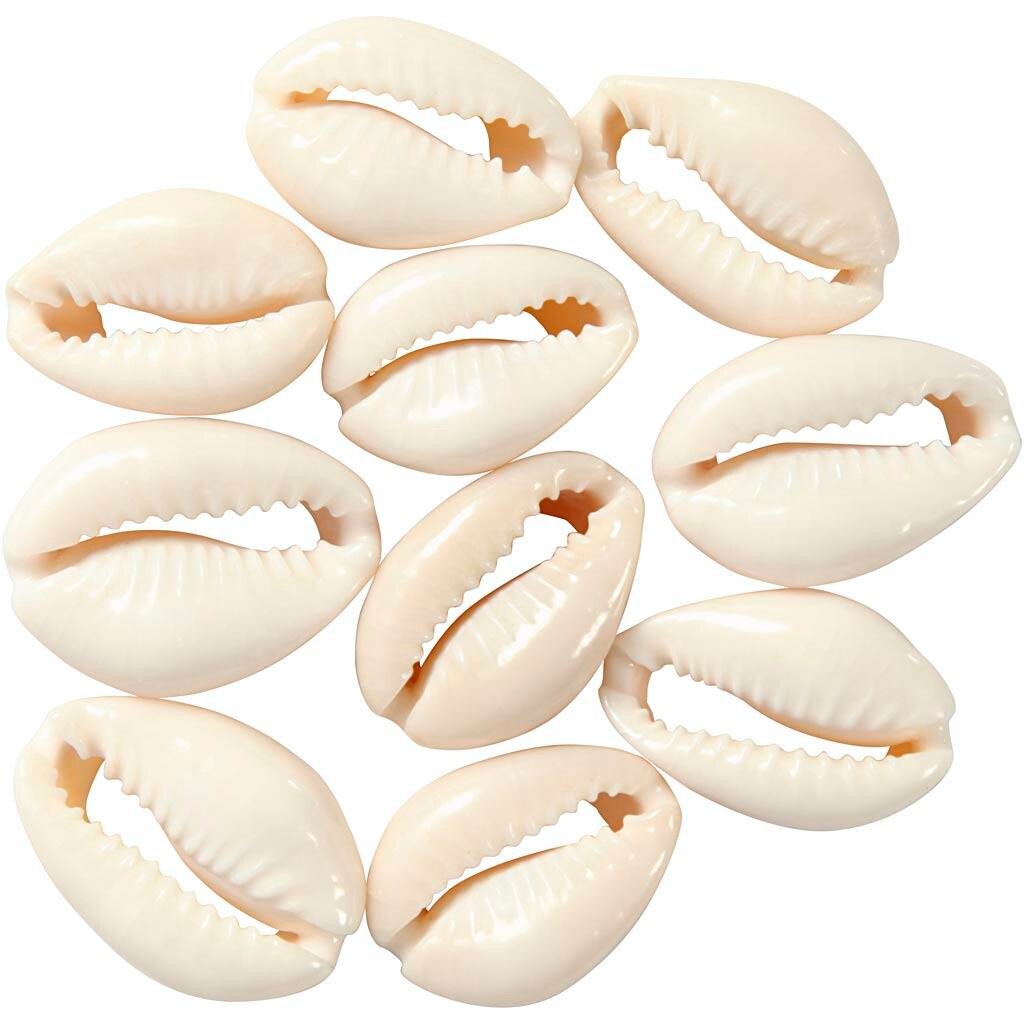 Muslingeskaller, L: 20 mm, Natur, 12 Stk., 1 Pk. billede