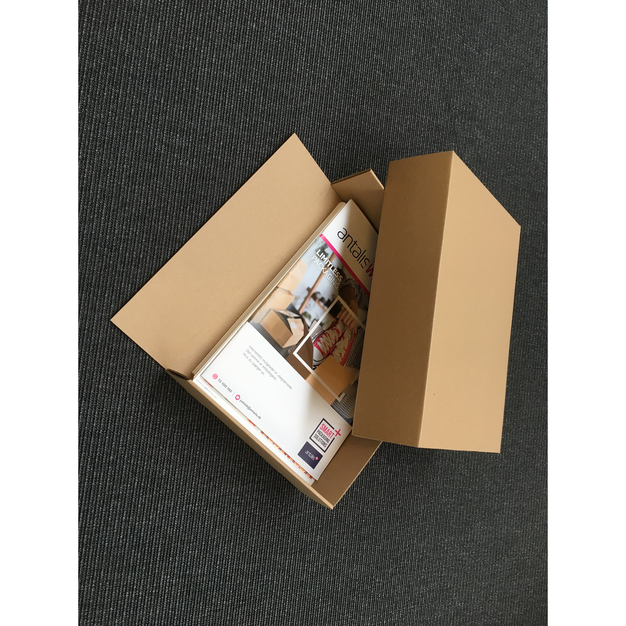 Master'In Rigsarkivæske - Låg billede