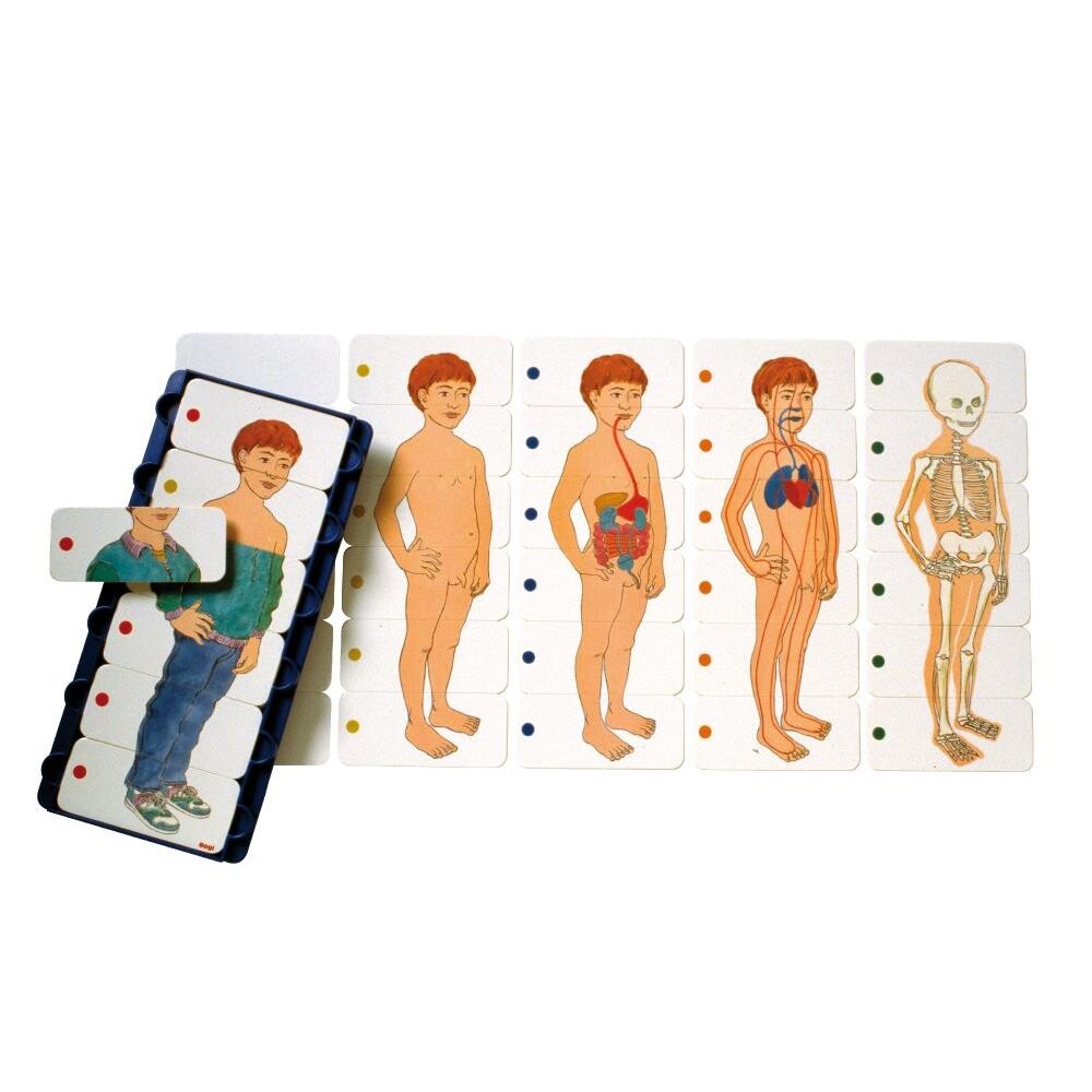 Billede af Anatomisk puslespil Dreng