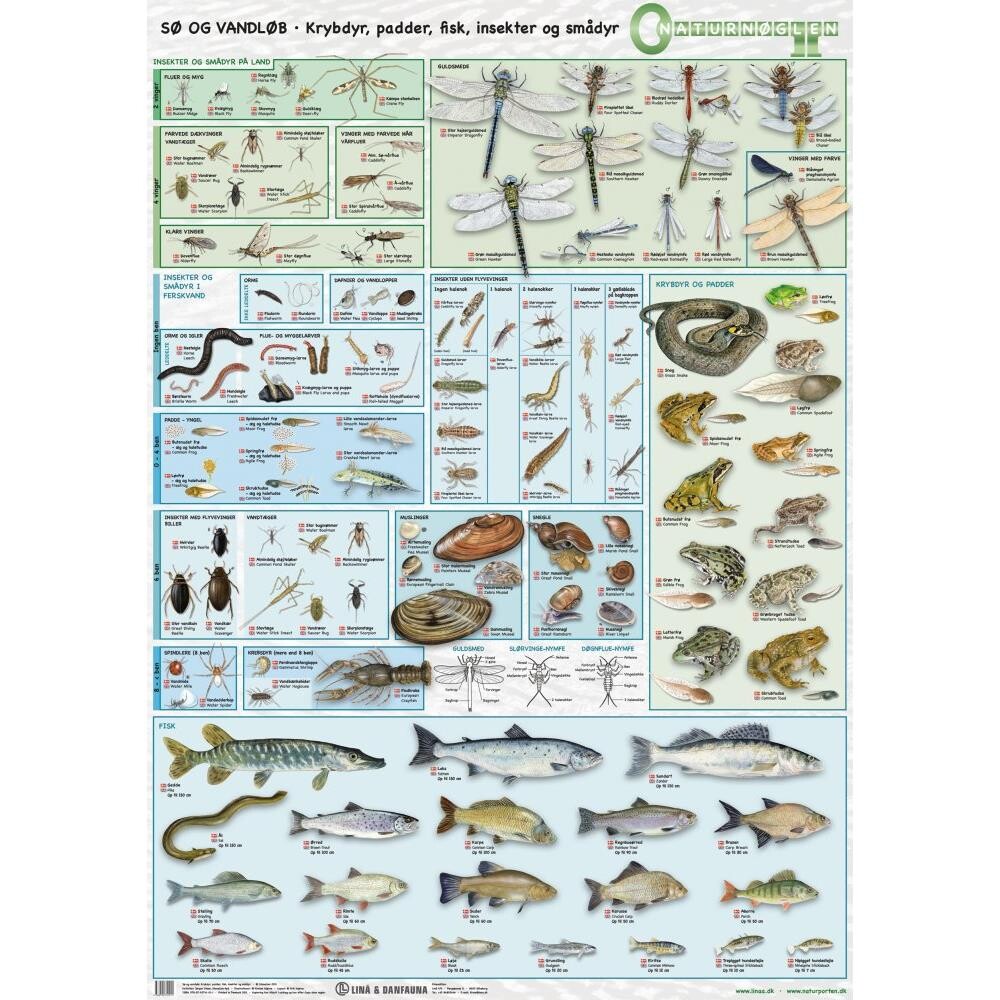 Bestemmelsesdug - Sø & Vandløb, 120 x170