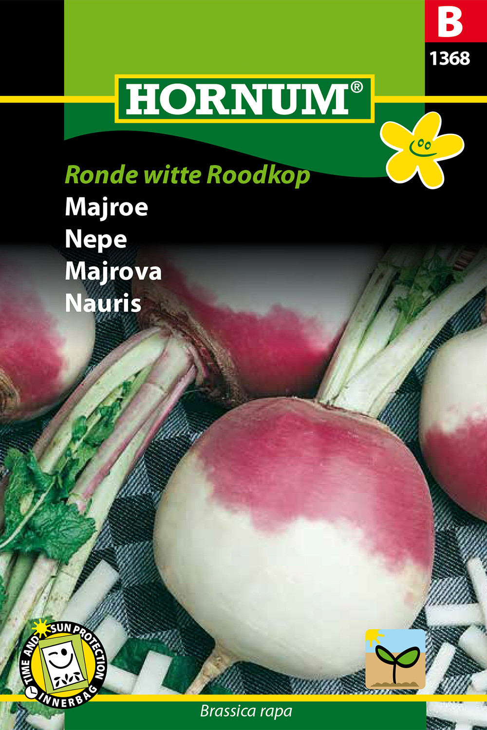Forlænge middag Katastrofe Brassica rapa 'Ronde Witte Roodkop' (Majroe)