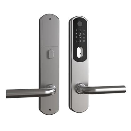 Smart Lock DZ 1000, Rustfri