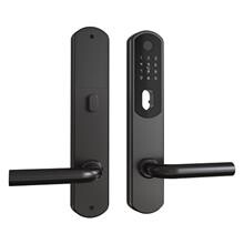 Smart Lock DZ 1000, sort