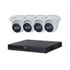 Dahua WizMind Pakke - 1000GB