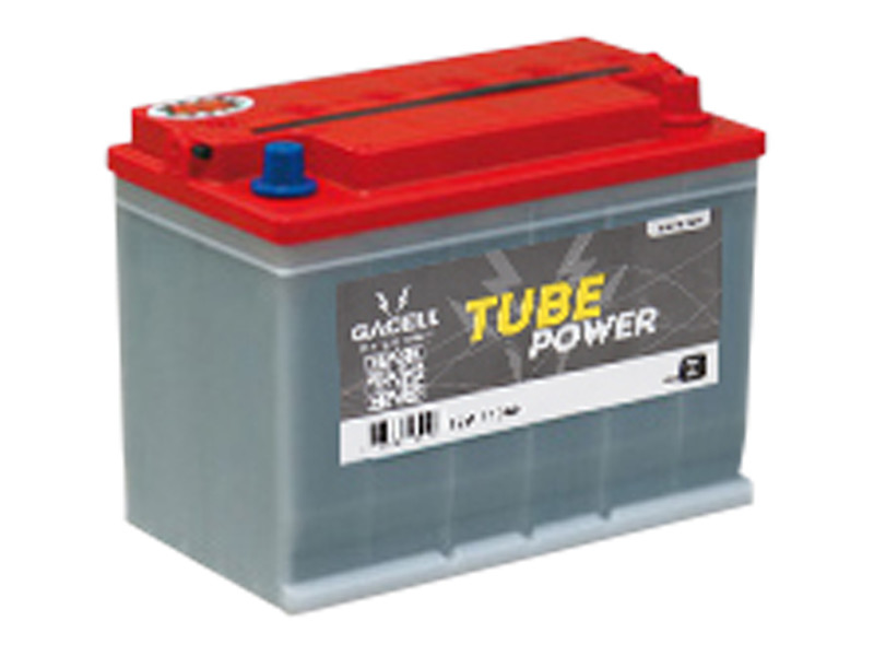 Battery 110Ah/12V/302x172x223 <br />Traction Tube