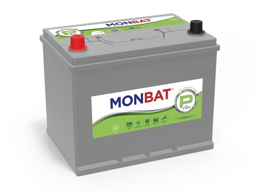 Batteri 65Ah/12V/230x170x220 <br />Start - Auto - SMF