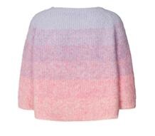 LOLLYS LAUNDRY STRIK, TORTUGA MULTI