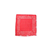 BLACK COLOUR TØRKLÆDE, PAISLEY MINI RED