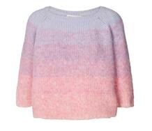 LOLLYS LAUNDRY STRIK, TORTUGA MULTI