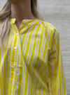 WAUW SKJORTE, SKALL YELLOW STRIPE
