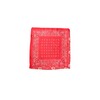 BLACK COLOUR TØRKLÆDE, PAISLEY MINI RED