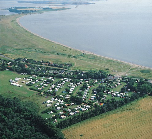 Billedresultat for feddet aa strand