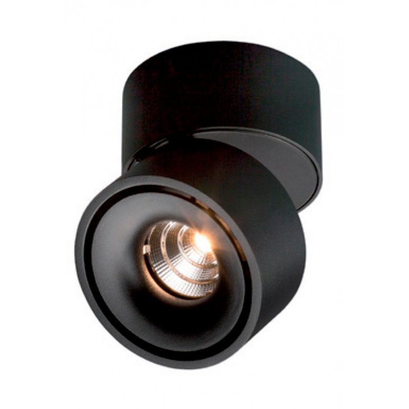 Easy W100 LED Bevestigingsspot 10W Zwart - Antidark