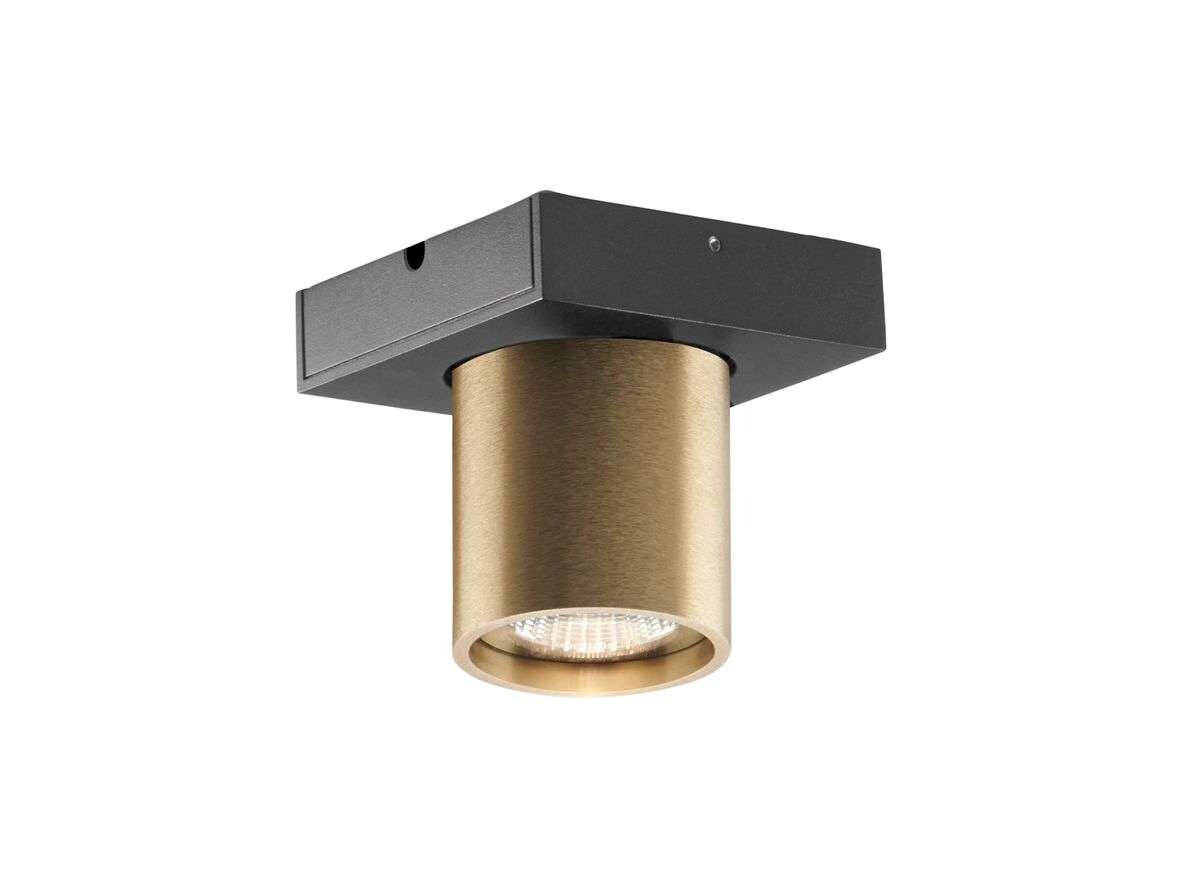 LIGHT-POINT - Focus 1 LED Plafondlamp 3000K Brass Light-Point