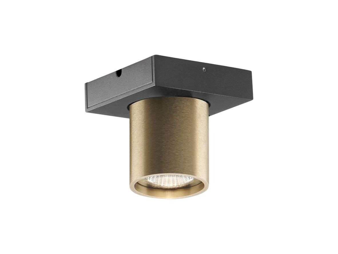 LIGHT-POINT - Focus Mini 1 LED Plafondlamp 3000K Brass Light-Point