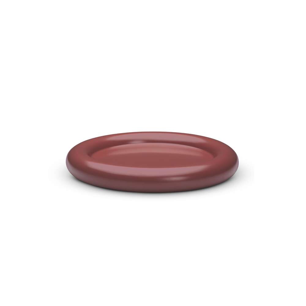 Observe Tray Ø32 Painted Ash/Coral Red - Northern