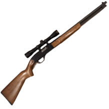 Brugt winchester 1/2-auto 22lr