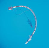 Endotracheal Microlaryngealtube