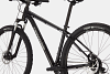 Cannondale Trail 8 | 29" Mountainbike | GRAPHITE