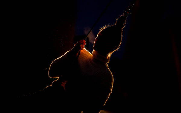 Seahorse