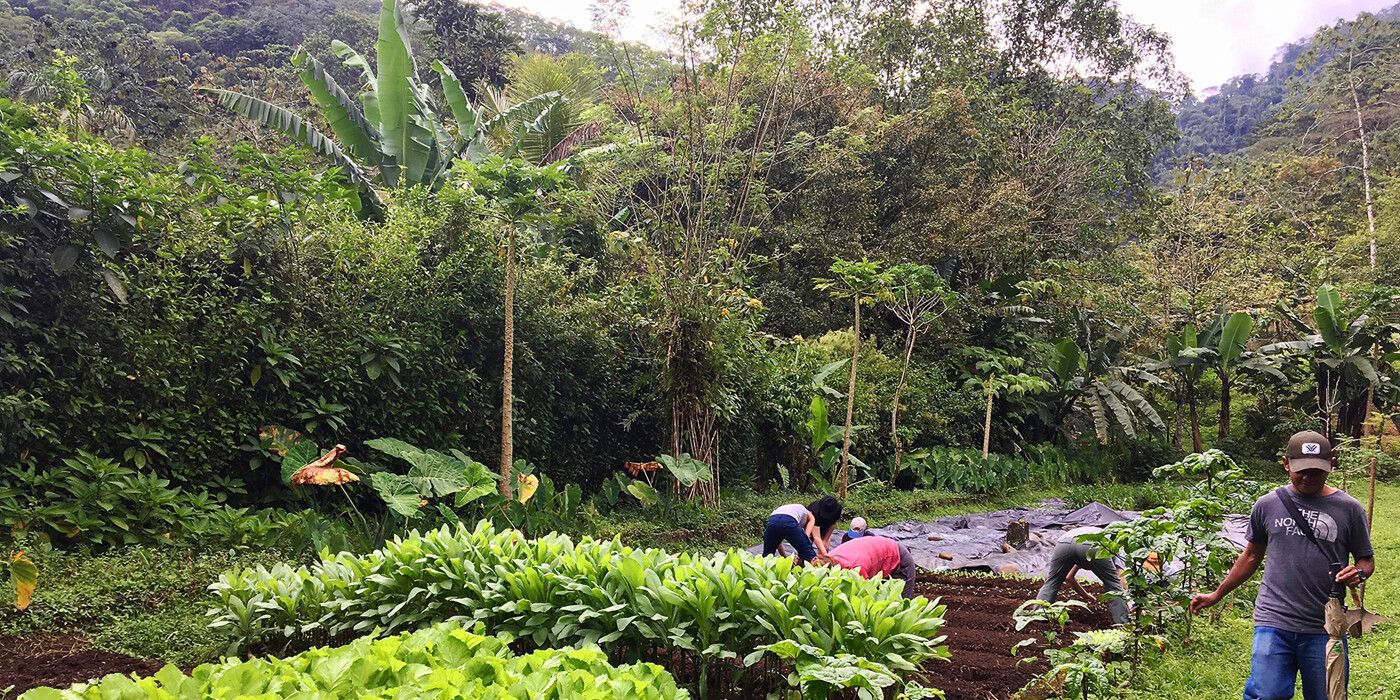På Rancho Margot er de næsten selvforsynende