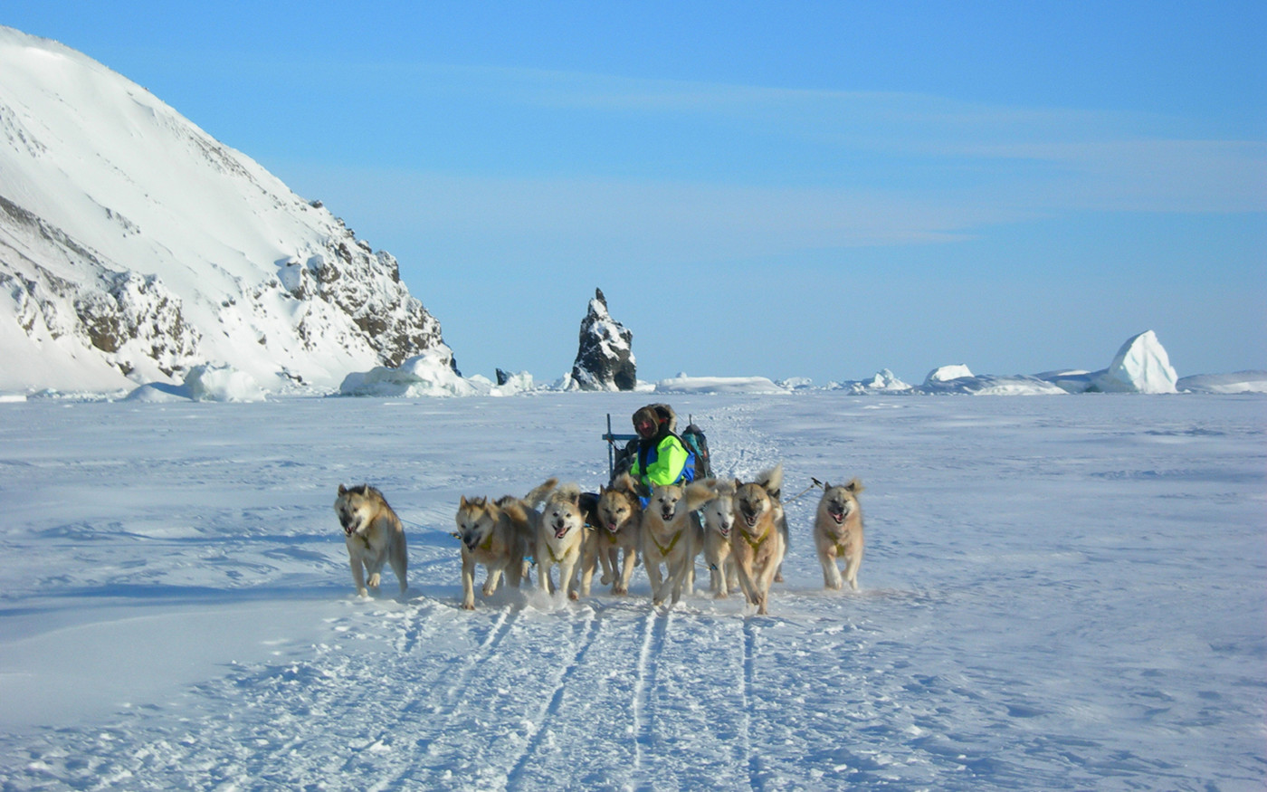Hundeslæde på tur i Grønland