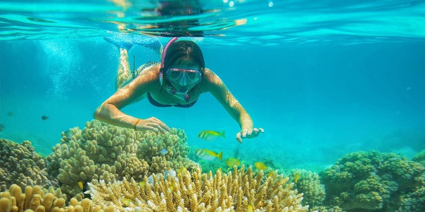 Snorkeling bland koraller ved Whale Island som del af rejse i Vietnam