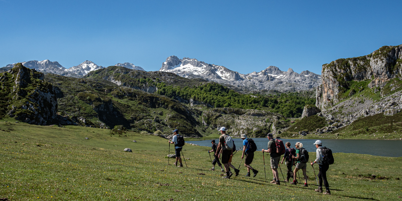 Alpinsoer