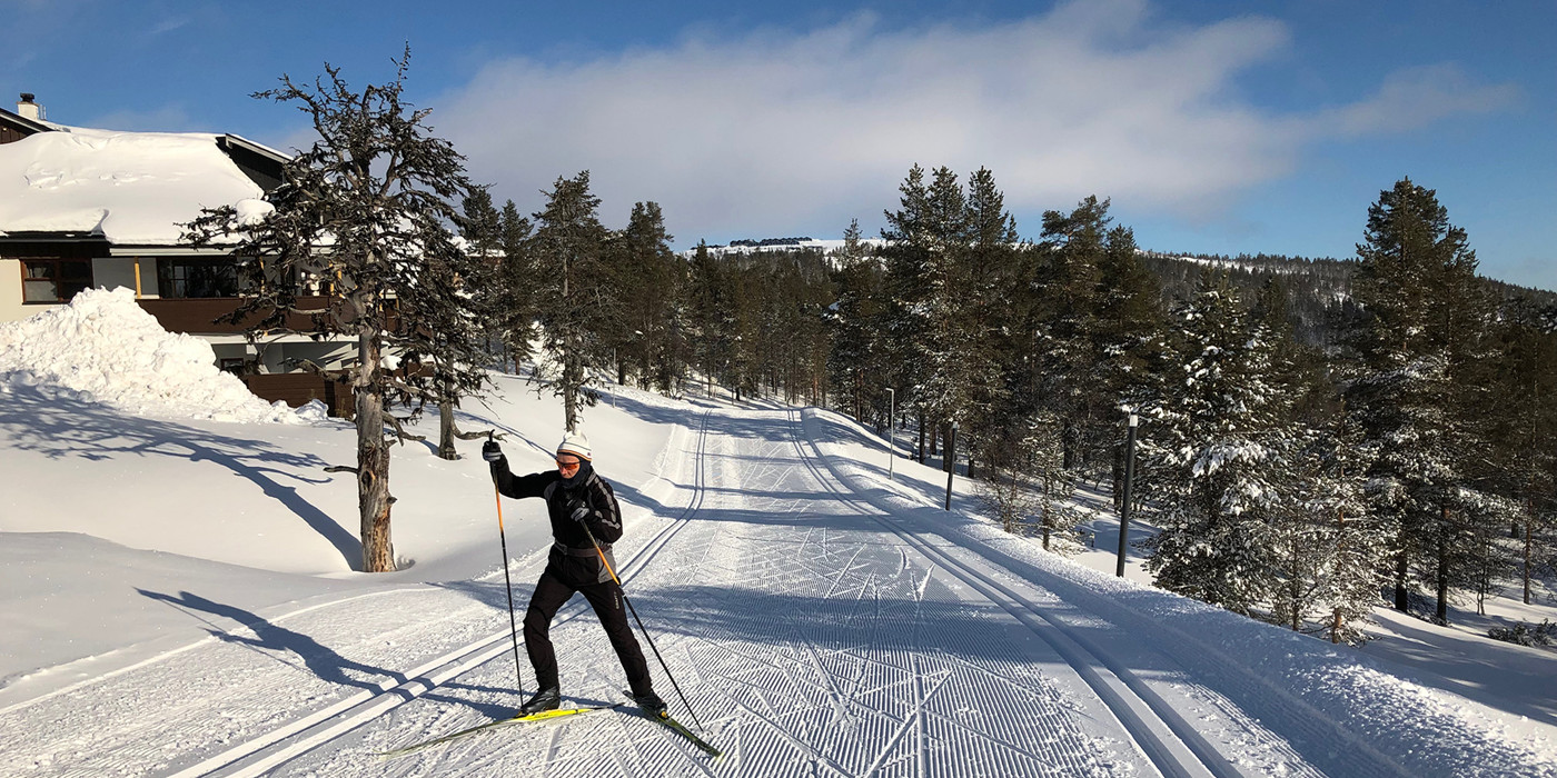 Mand på langrendsskibane i nåleskov.