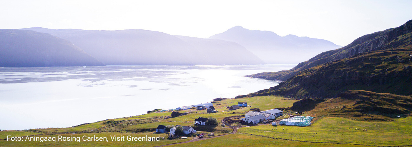 Farmers i Sydgrønland