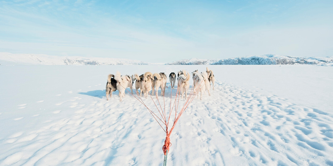 Hundeslæde i Ilulissat bagland