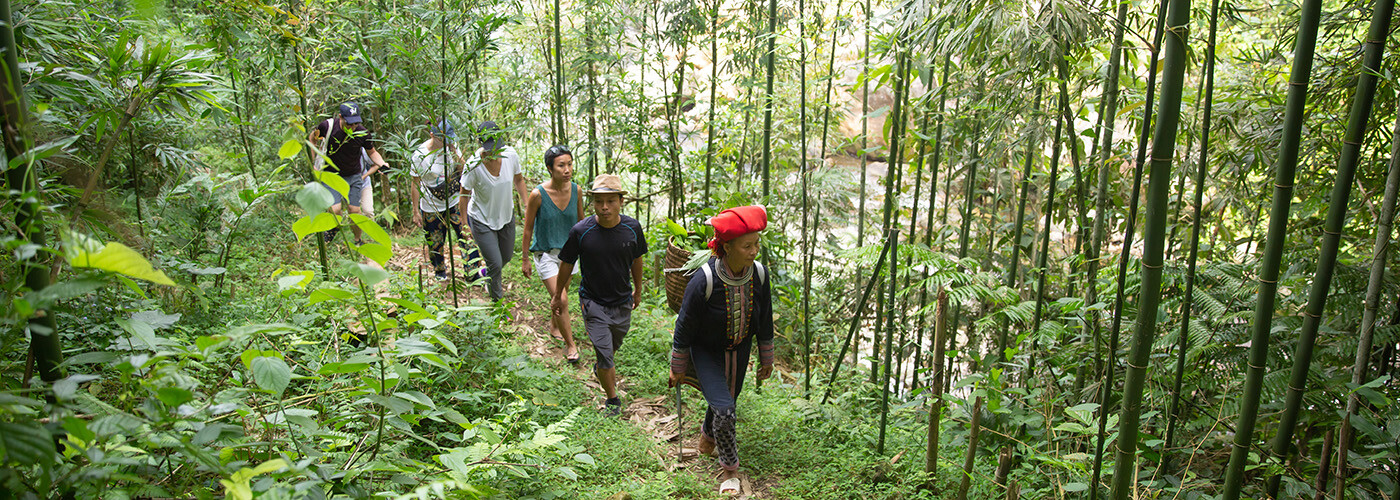 Junglevandring