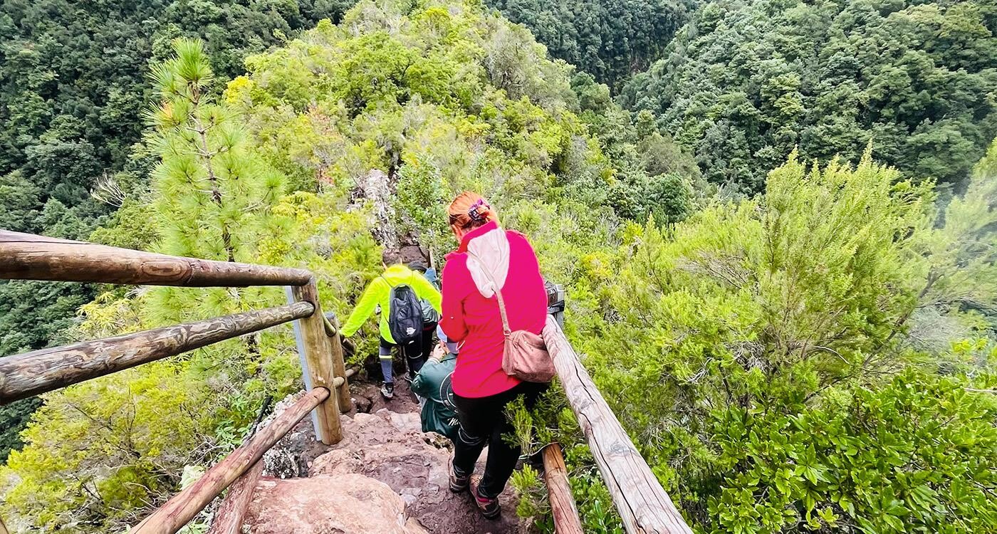 Vandrere går ned ad trappesti i Los Tilos-skoven