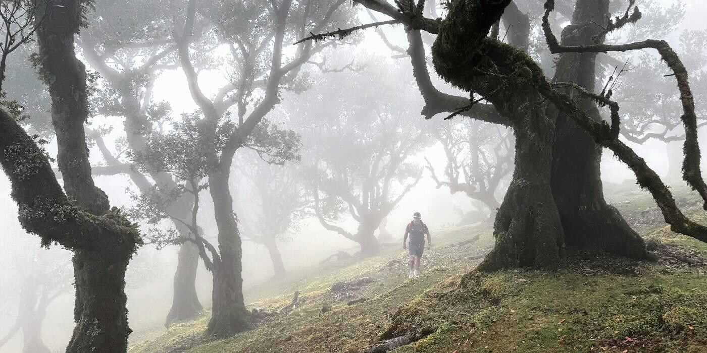 Man vandrer gennem tåget skov langs PR13 Vereda do Fanal.