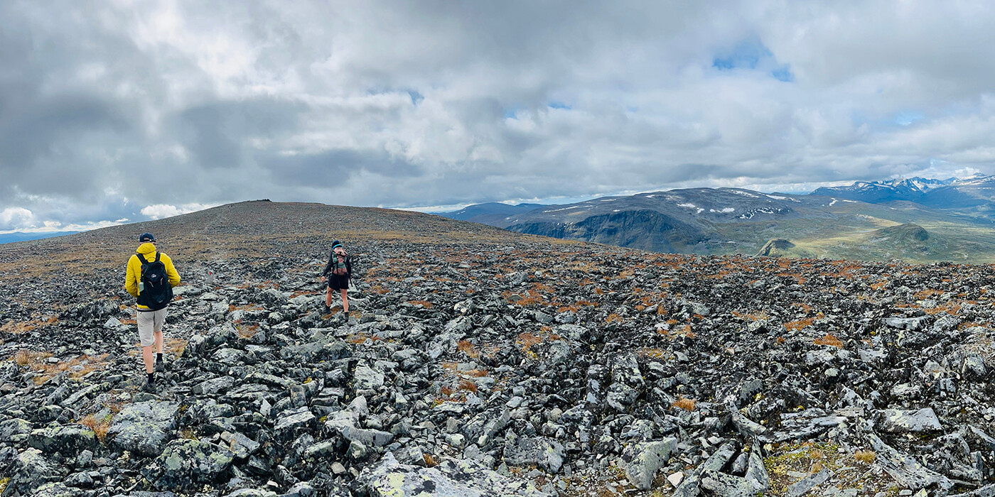 Sikkilsdalshøa